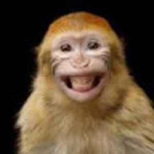 Meet your Posher, Audrey